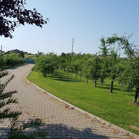 Vila Zorii Zilei Баиле Феликс Номер фото