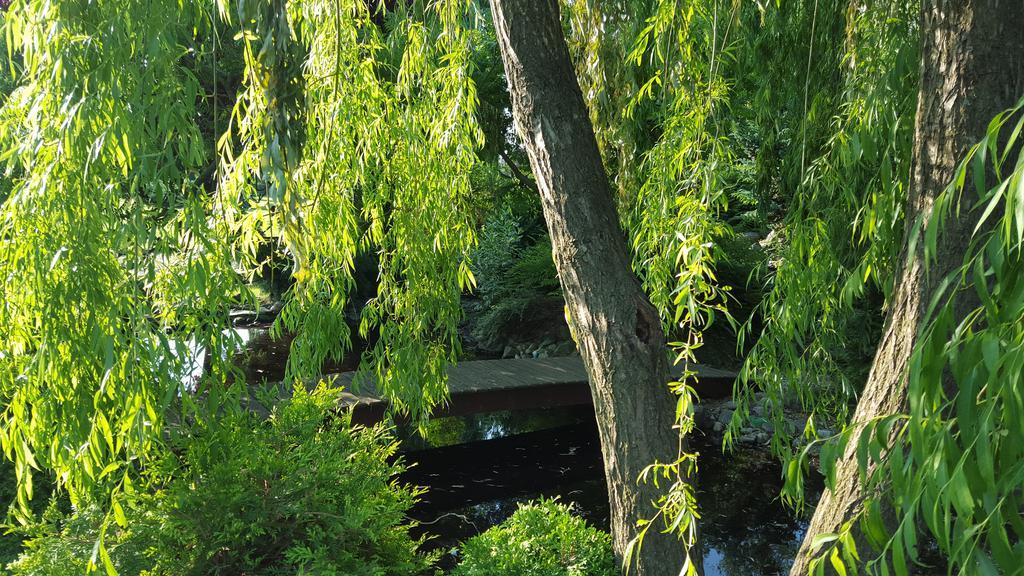 Vila Zorii Zilei Баиле Феликс Номер фото